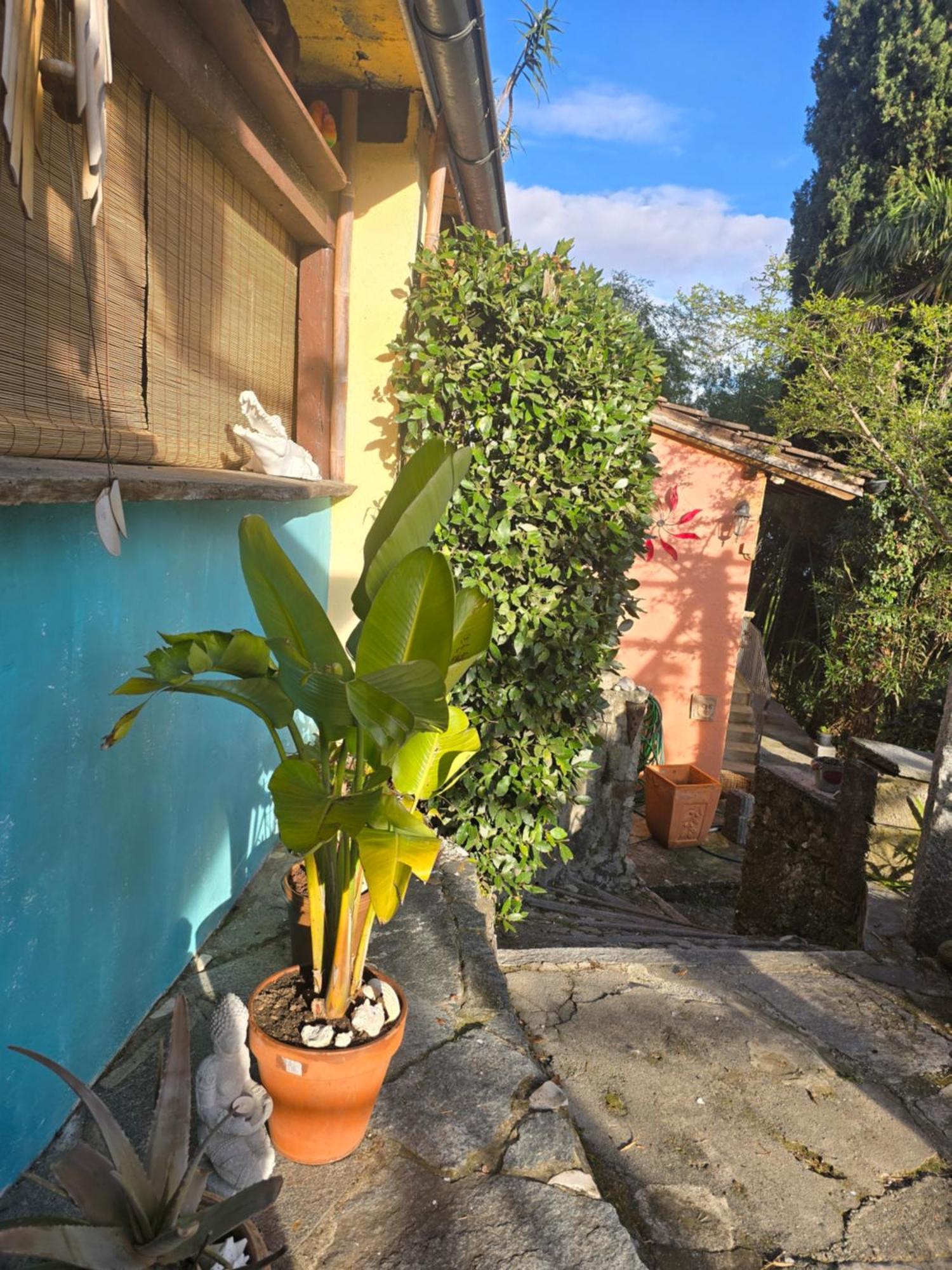 Pensione Olanda Locarno Luaran gambar